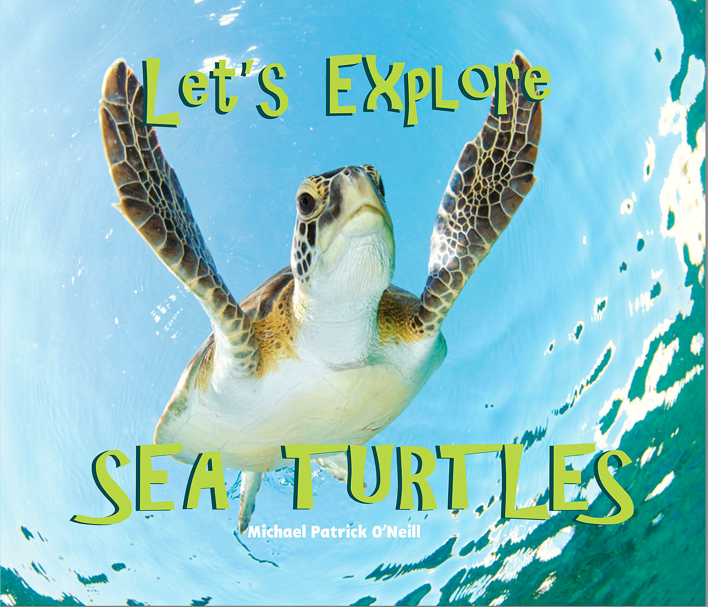 Let's Explore Sea Turtles