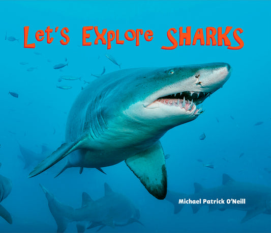 Let's Explore Sharks