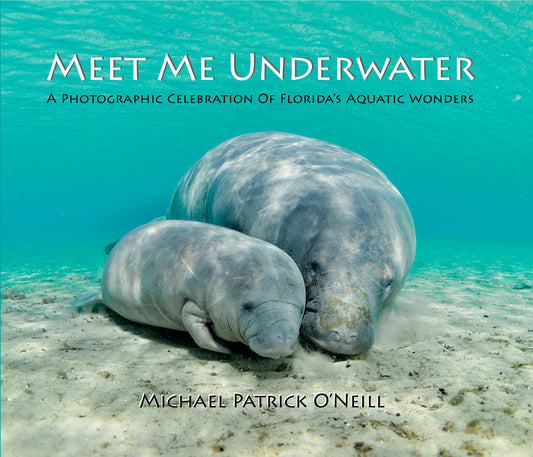 Meet Me Underwater:  A Photographic Celebration of Florida’s Aquatic Wonders