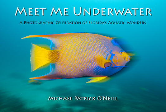 Meet Me Underwater:  A Photographic Celebration of Florida’s Aquatic Wonders